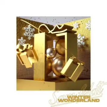 Sam Feldt - Winter Wonderland